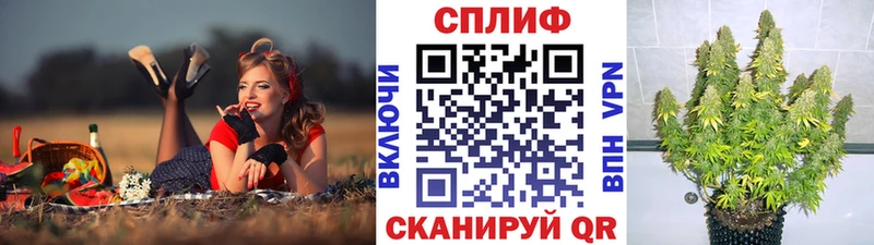 Какие есть наркотики Тюмень APVP  Кокаин  Гашиш  Марихуана 