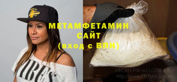 индика Волоколамск