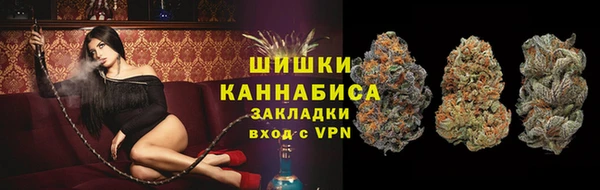индика Волоколамск