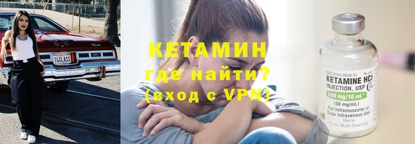 индика Волоколамск