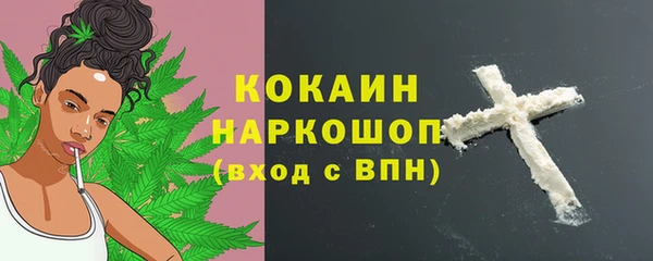 индика Волоколамск