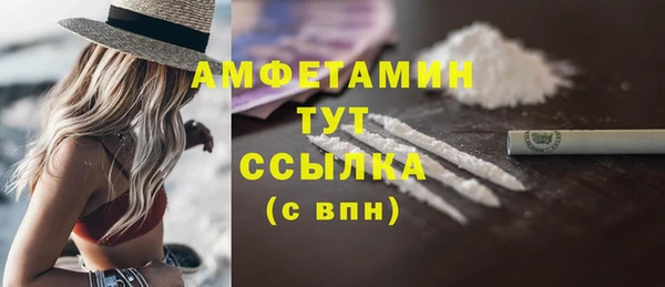индика Волоколамск
