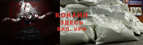 индика Волоколамск