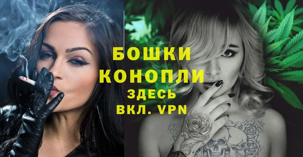 индика Волоколамск