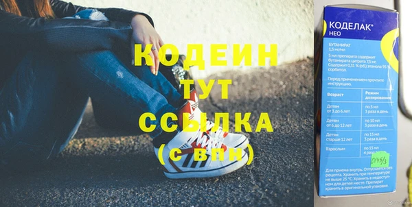 индика Волоколамск
