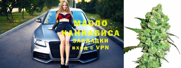 индика Волоколамск