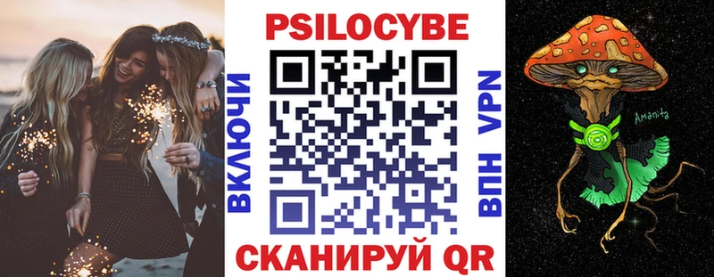mega   Тюмень  Псилоцибиновые грибы мухоморы 