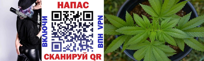 сайты даркнета телеграм  Тюмень  Бошки Шишки THC 21% 